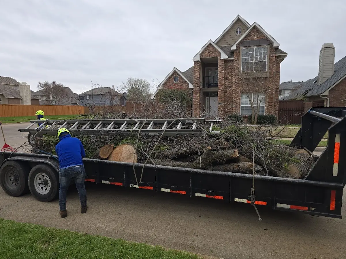 Expert Tree Pest Control with proper safety equipment in Kountze